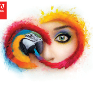 (دورة) أساسيات برنامج  Adobe Illustrator في التصميم الجرافيكي للمبتدئين